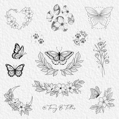 butterflies and flowers are drawn in black ink