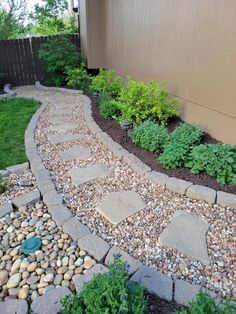 a garden with rocks and plants in it