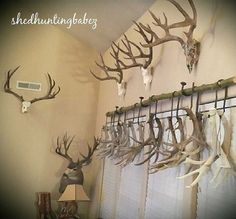 antlers are hanging on the wall in front of a window with curtains and lamps