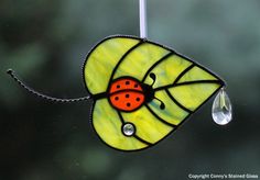 a stained glass sun catcher with a ladybug on it's side hanging from a window