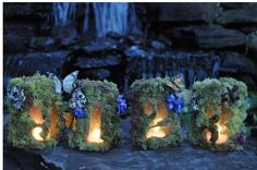 three lit up letters made out of moss with butterflies and flowers on them in front of a waterfall