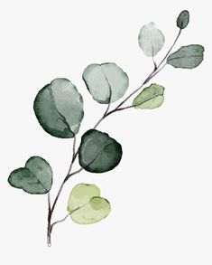 a watercolor painting of leaves on a white background with green and gray colors in the middle