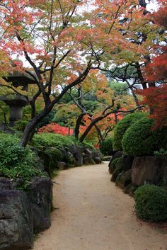 a path in the middle of a garden with trees and rocks on both sides, surrounded by colorful foliage