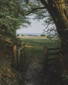 an open gate leading to a grassy field with trees and grass in the foreground