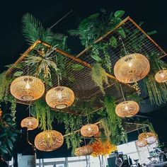 hanging lights and plants in an indoor space