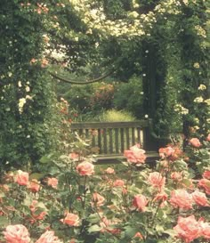 a wooden bench surrounded by flowers and greenery in a park or garden with roses growing all around it