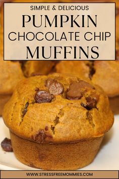 pumpkin chocolate chip muffins on a plate with text overlay that reads, simple & delicious pumpkin chocolate chip muffins