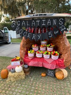 an outdoor display with fruit in buckets and other items for sale on the grass