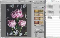 an image of pink flowers in the middle of photoshopped with color swatches