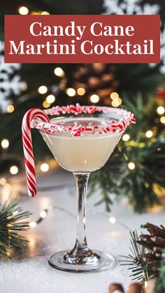 "Indulge in the festive spirit with our delicious Candy Cane Martini cocktail recipe! Perfect for holiday gatherings, this delightful drink combines the refreshing taste of peppermint with creamy goodness, making it a must-try for Christmas drinks. Elevate your celebrations with this easy-to-make festive cocktail that captures the essence of winter. Explore more candy cane recipes and impress your guests with this unique addition to your collection of holiday cocktails.!" Easy Festive Cocktails, Peppermint Holiday Cocktails, Christmas Martinis Holiday Drinks, Peppermint Cocktail Christmas, Christmas Martini Holiday Drinks, Holiday Martini Recipes, White Christmas Cocktail, Candy Cane Recipes, Candy Cane Martini Recipe