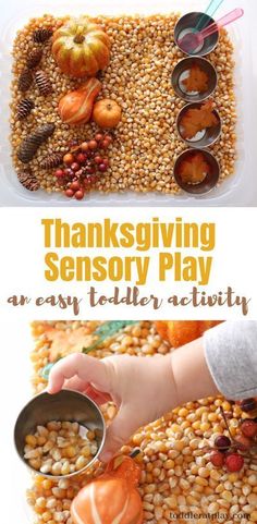 the thanksgiving play activity for toddlers with corn, pumpkins and other things to make it