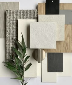 various types of tile and wood are arranged on a white surface with a green plant in the foreground