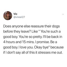 the tweet has been posted to someone about their dog