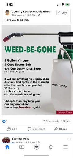 Kill Grass, Kill Weeds Naturally, Organization Binder, Garden Landscaping Diy, Garden Remedies, Weeds In Lawn, Homemade Cleaning Solutions, Garden Weeds, Homemade Cleaning