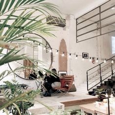 a person sitting on a chair in a room with plants and lights hanging from the ceiling