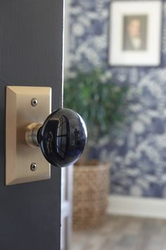 an open door with a knob on it and a potted plant in the background