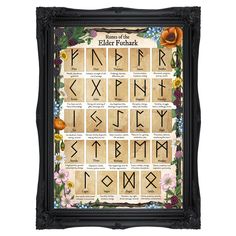 an old fashioned alphabet with flowers and leaves on it, in a black framed frame