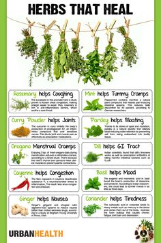 Natural Diuretic, Natural Healing Remedies, Healing Plants, Herbal Healing, Home Health Remedies, Herbal Magic