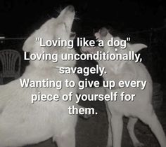 two white dogs standing next to each other on top of a dirt ground with the words loving like a dog loving unconditionally, sav