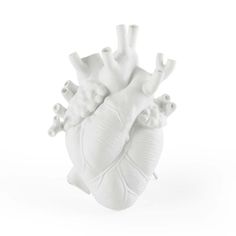 a white model of the human heart on a white background