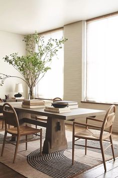 a dining room table with chairs around it and a potted plant in the corner