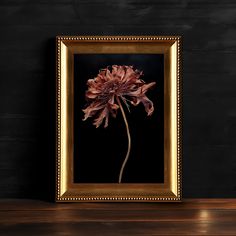 a framed photograph of a pink flower on a wooden table in front of a black wall