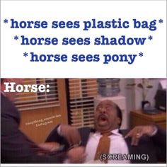 horse sees plastic bag horse sees shadow horse sees pony horses screaming text photo caption