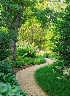 a garden path surrounded by lush green trees