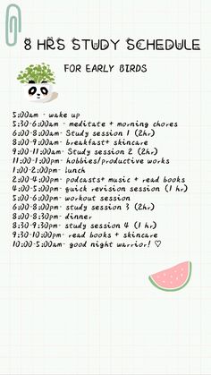 the 8 hour study schedule for early birds is shown in green and white with an image of a watermelon