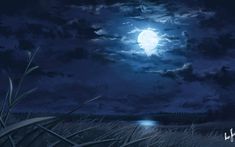 the full moon shines brightly in the night sky over a marshy area with tall grass