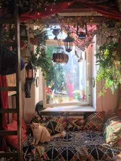 a cat sitting on a bed in front of a window with plants hanging from it