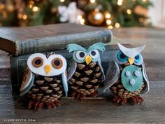 three owls sitting on top of an old book with pine cones in front of them