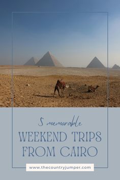 the pyramids are in the distance with text overlay that reads s memorable weekend trips from cairo