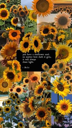 a collage of sunflowers with a quote on it