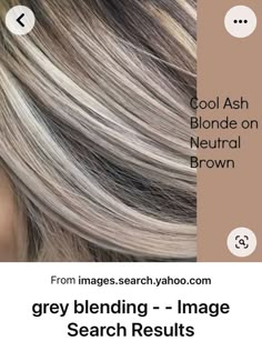 Platinový Blond, Cool Ash Blonde, Blonde Hair Colour, Rambut Brunette, Ash Blonde Hair Colour, Chunky Highlights, Long Shag, Ashy Blonde, Ash Blonde Highlights