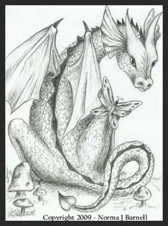 a pencil drawing of a dragon sitting on the ground