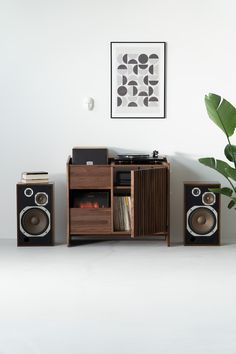 an entertainment center with speakers, record player and plant in front of white wall background