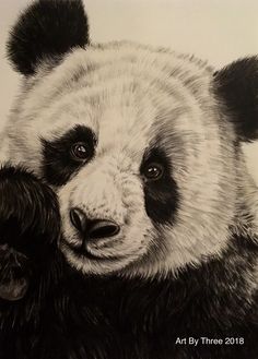 a black and white drawing of a panda bear