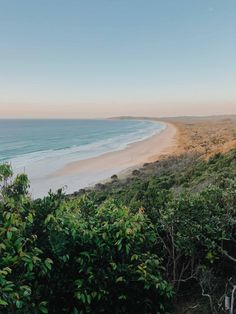 the beach is surrounded by trees and bushes