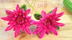 two pink flowers sitting on top of a wooden table next to a green plant with the word diy written in it