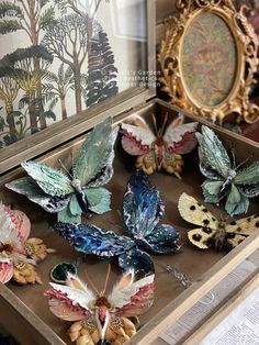 several butterflies are sitting in a box on a table next to a mirror and framed pictures