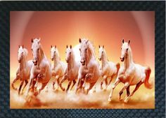 a group of white horses running in the air with their heads turned to the side