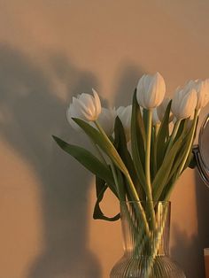 white tulips in a clear glass vase on a table next to a clock