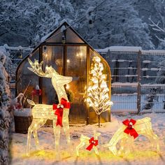 lighted reindeers in front of a barn with christmas lights