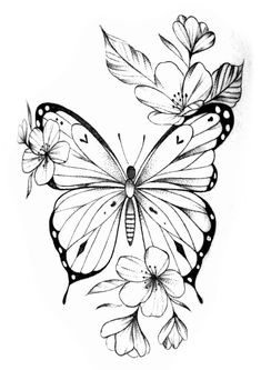 Butterfly Drawing Outline Tattoo Ideas, Butterfly Drawing Outline, Butterfly Line Drawing, Feminine Shoulder Tattoos, Arm Tattoos Drawing, Lion Art Tattoo