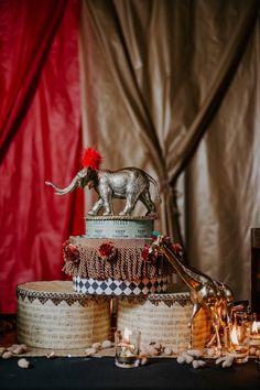 a cake with an elephant on top and candles around it