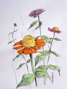 a drawing of three flowers with leaves