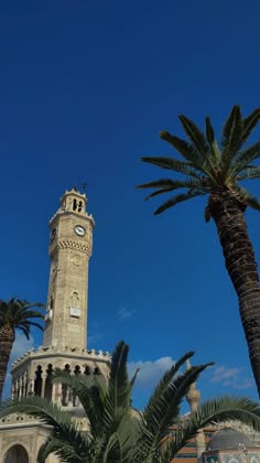 a tall clock tower sitting next to palm trees