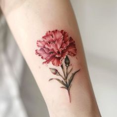 Carnation Tattoo Vector Art Tattoo For My Son, Gladiolus Tattoo, Feminine Shoulder Tattoos, Floral Arm Tattoo, Hard Tattoos, Tattoo Vector, Birth Flower Tattoos, Sunflower Tattoos