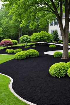 a garden with black mulch and green trees